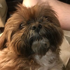 Meet your Posher, Matthew